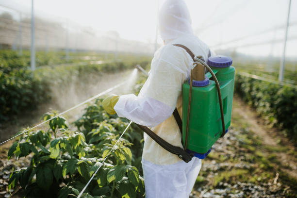 Wildlife Control Services in Smackover, AR